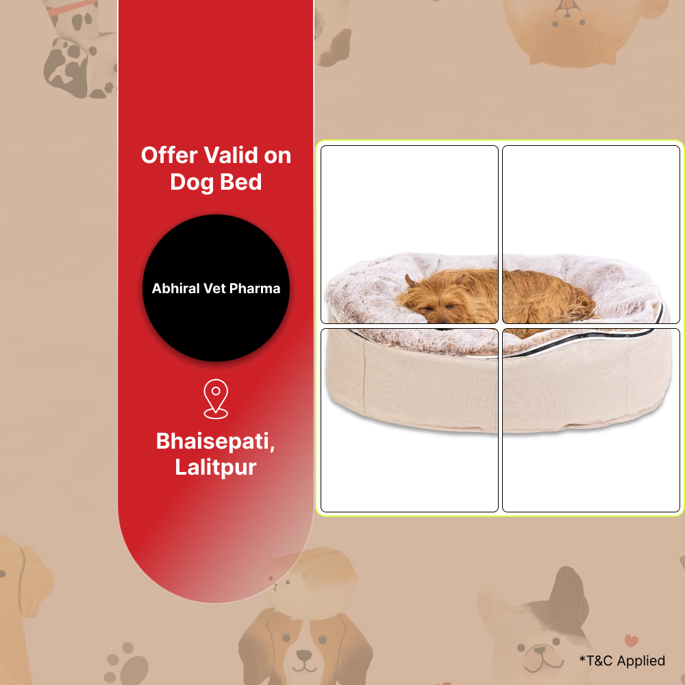 30% off on dog bed at Abiral Vet Pharma