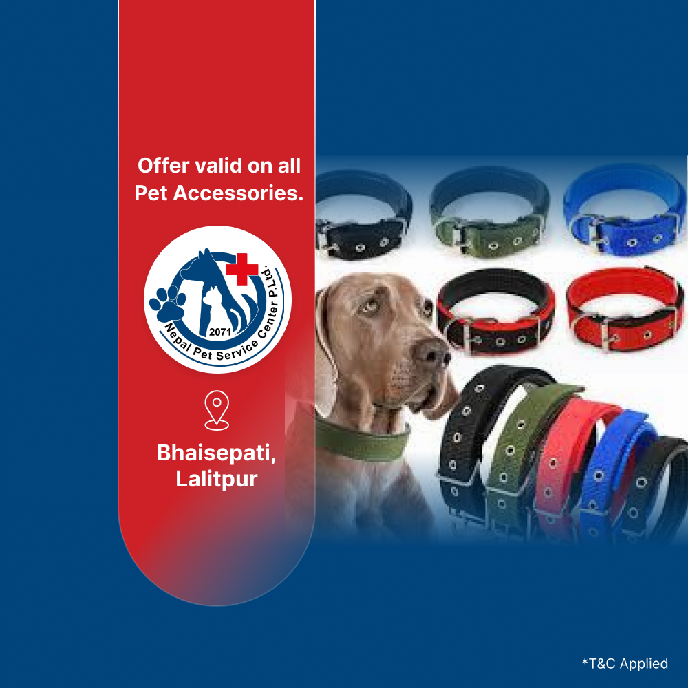 15% off on all pet accessories at Nepal Pet Service